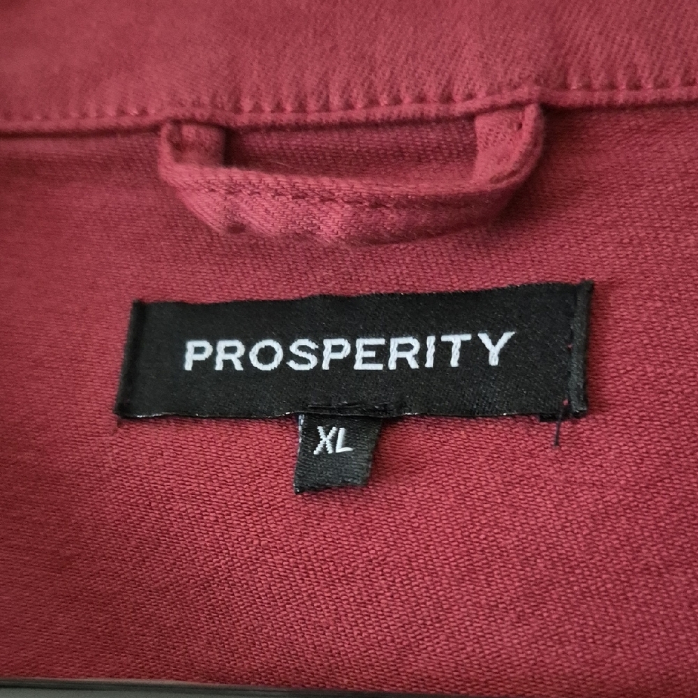 Prosperity Denim Jacket - Picture 2 of 3